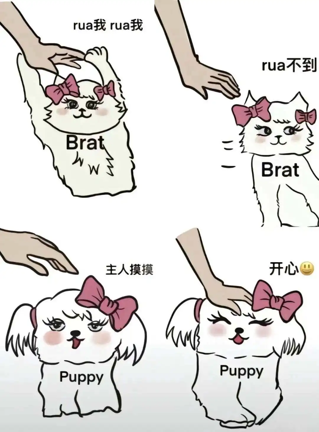西檬之家-BDSM字母圈新人权威入门指南