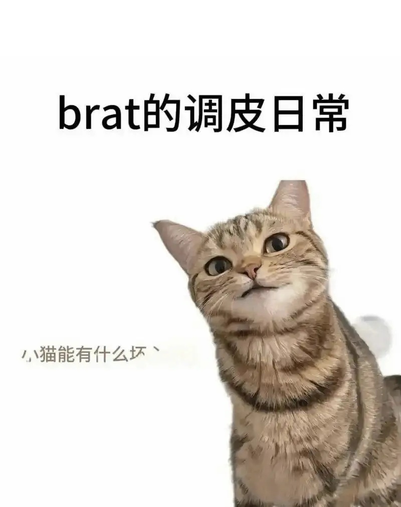 西檬之家-字母圈新人入门：理解BDSM与核心术语