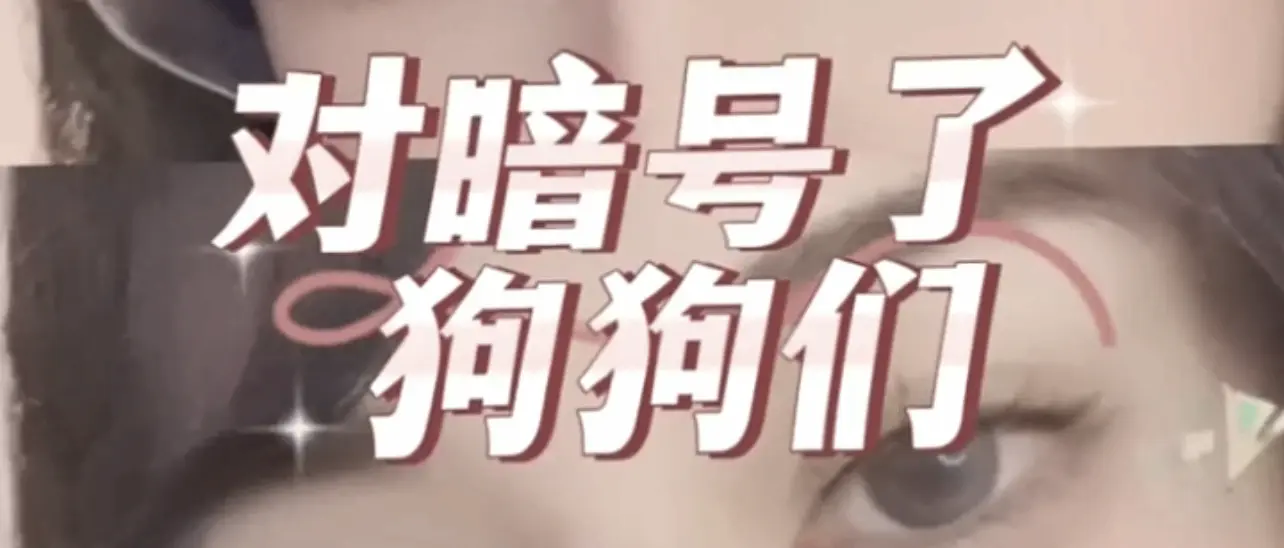 【西檬之家】PE是什么？字母圈新人必读的权力交换指南