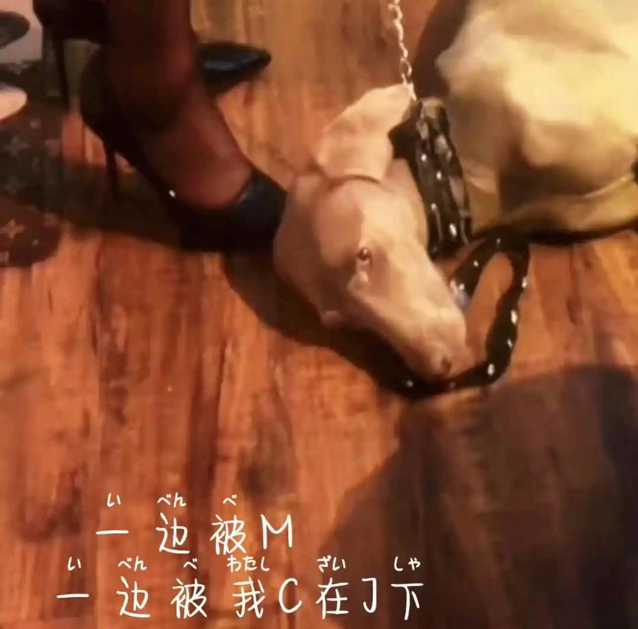 【西檬之家】S属性是什么？BDSM字母圈核心概念与SSC安全指南