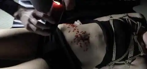 西檬之家-BDSM核心概念与新人入圈指南