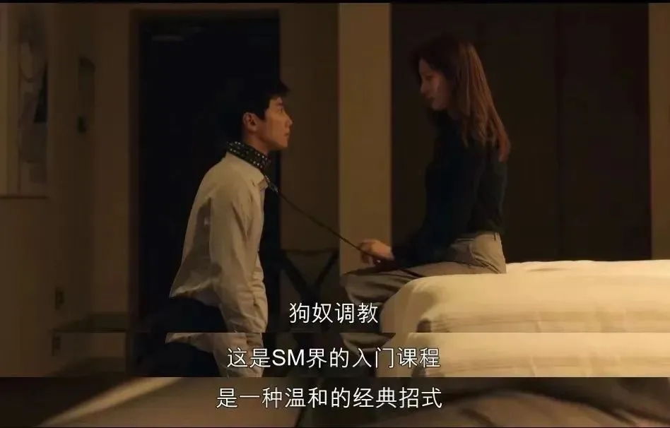 西檬之家-BDSM字母圈新人入门指南：核心术语与SSC原则详解