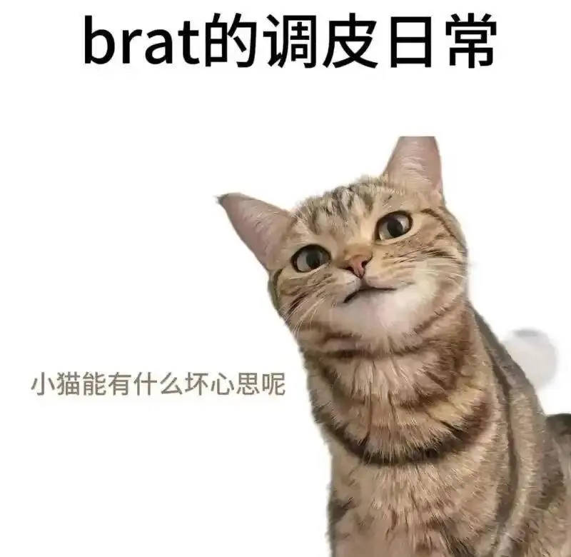 【西檬之家】恋足癖在字母圈是什么？新人入圈必备指南