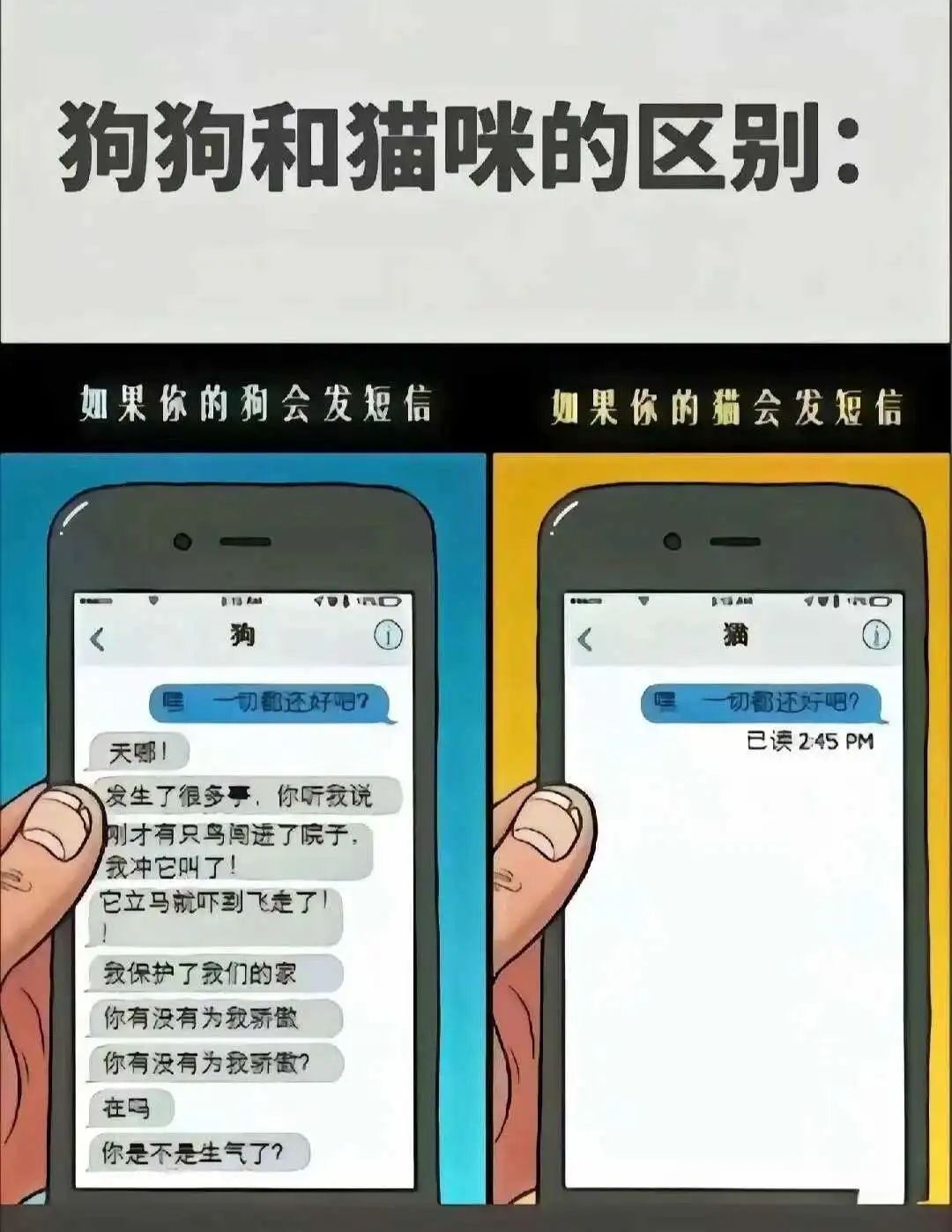 【西檬之家】Sub是什么？字母圈新人必须搞懂的臣服者角色