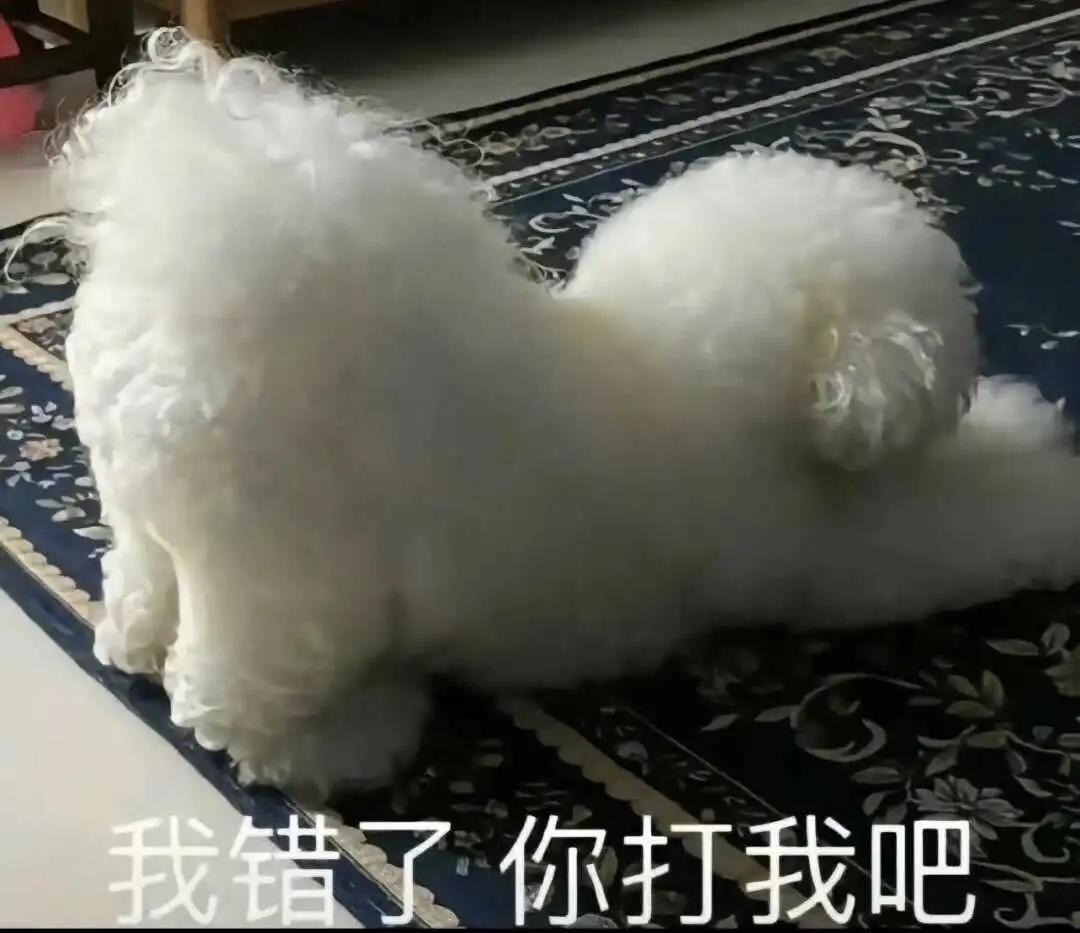 【西檬之家】s属性是什么？字母圈新人快速入门指南