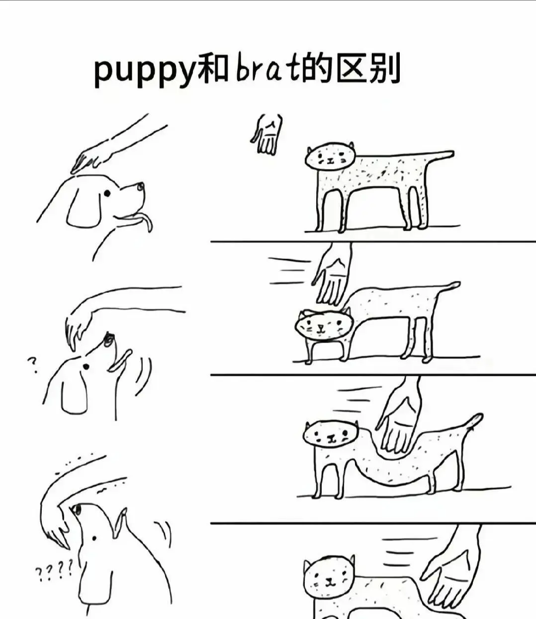 【西檬之家】BDSM中Sub是什么？字母圈新人必须懂的核心角色